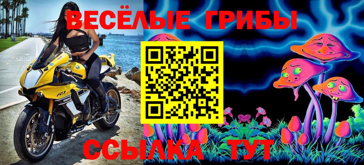 Галлюциногенные грибы Psilocybe  Вход с VPN  Великий Устюг 