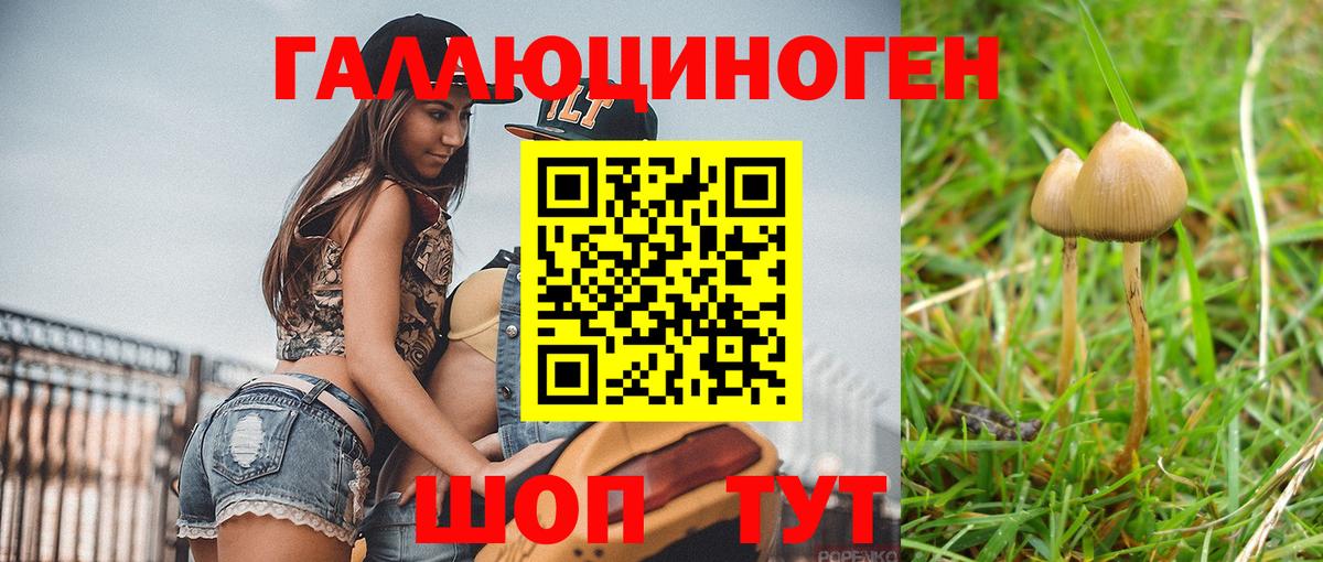Псилоцибиновые грибы мухоморы Великий Устюг